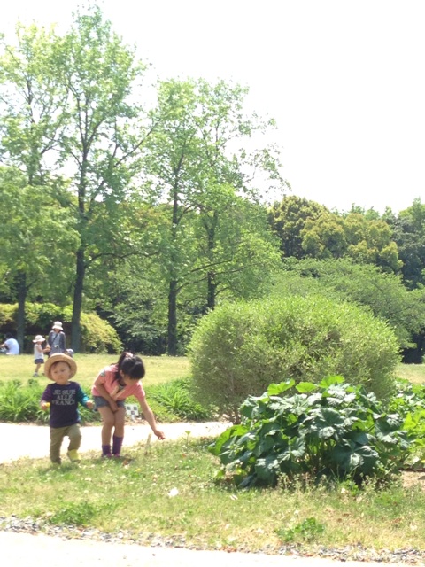 f:id:yasuko-fiore:20140426210652j:plain f:id:yasuko-fiore:20140426210652j:plain