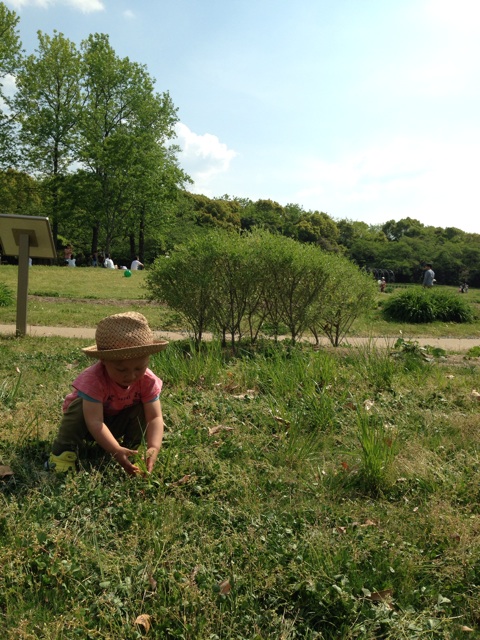 f:id:yasuko-fiore:20140426210756j:plain f:id:yasuko-fiore:20140426210756j:plain
