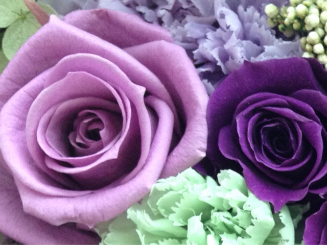 f:id:yasuko-fiore:20150110115100j:plain f:id:yasuko-fiore:20150110115100j:plain