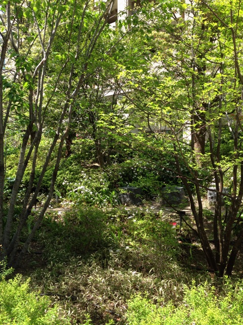 f:id:yasuko-fiore:20150417170144j:plain f:id:yasuko-fiore:20150417170144j:plain