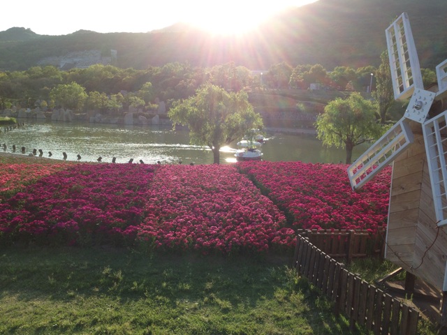 f:id:yasuko-fiore:20150510020226j:plain f:id:yasuko-fiore:20150510020226j:plain