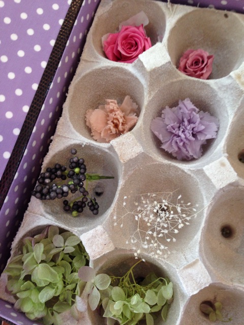f:id:yasuko-fiore:20150630222032j:plain f:id:yasuko-fiore:20150630222032j:plain