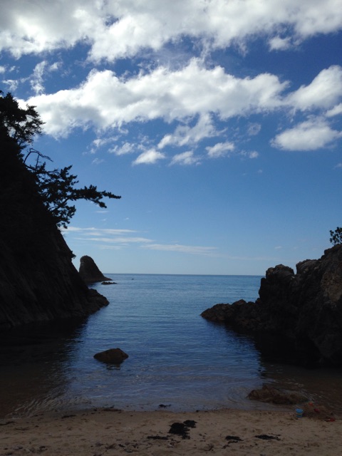 f:id:yasuko-fiore:20150722163110j:plain f:id:yasuko-fiore:20150722163110j:plain