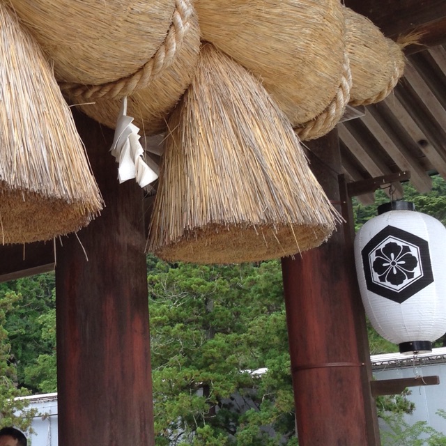 f:id:yasuko-fiore:20150724222315j:plain f:id:yasuko-fiore:20150724222315j:plain