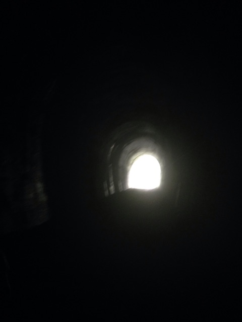 f:id:yasuko-fiore:20150812221710j:plain f:id:yasuko-fiore:20150812221710j:plain
