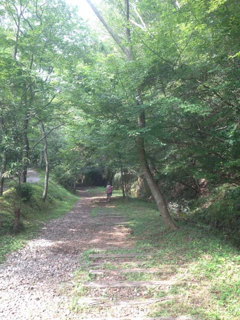 f:id:yasuko-fiore:20150812222017j:plain f:id:yasuko-fiore:20150812222017j:plain