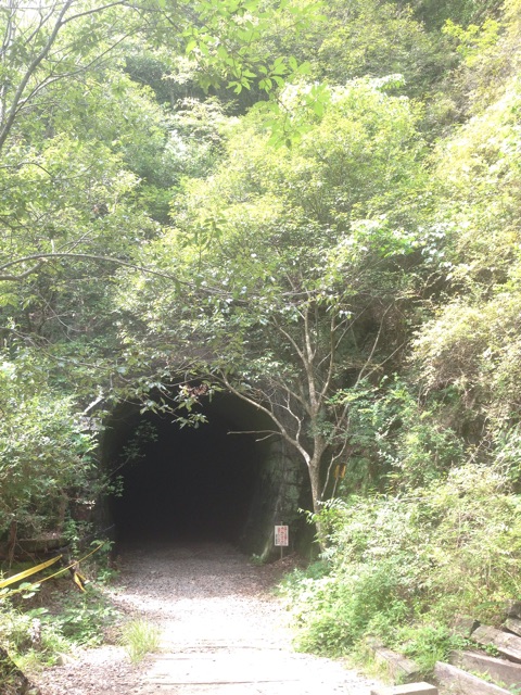 f:id:yasuko-fiore:20150812222935j:plain f:id:yasuko-fiore:20150812222935j:plain