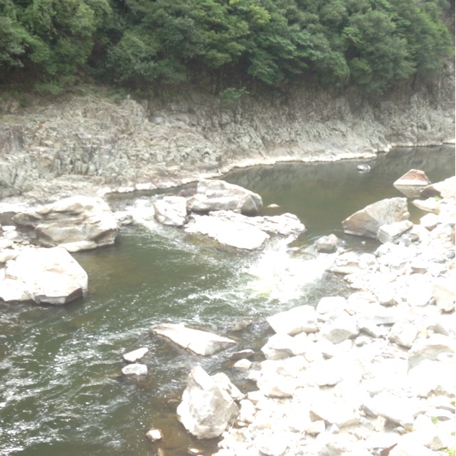 f:id:yasuko-fiore:20150812222946j:plain f:id:yasuko-fiore:20150812222946j:plain