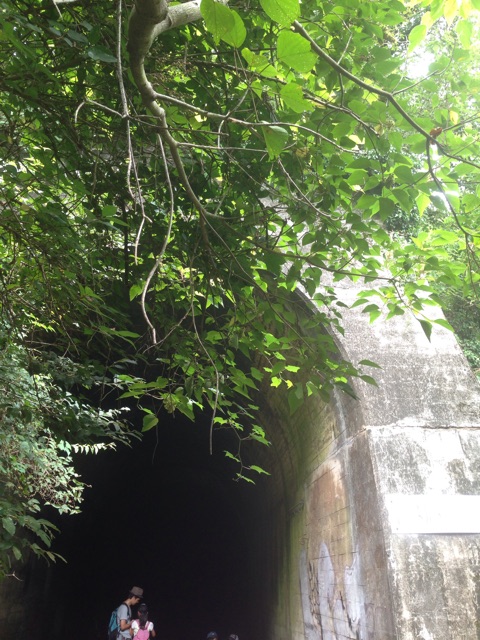 f:id:yasuko-fiore:20150812231104j:plain f:id:yasuko-fiore:20150812231104j:plain
