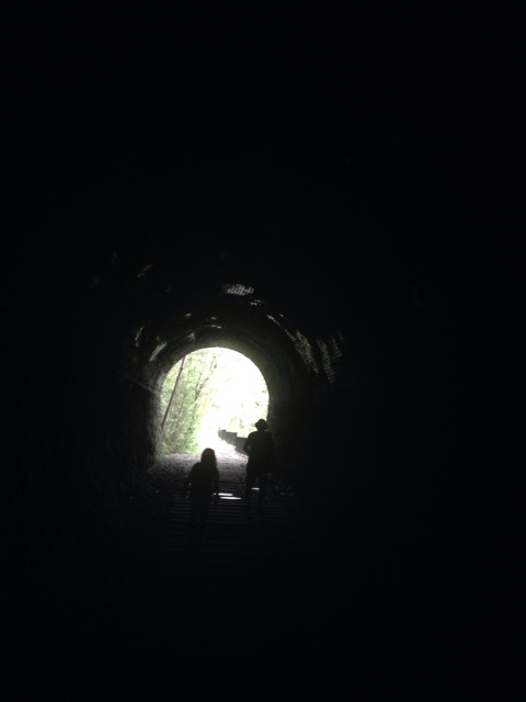 f:id:yasuko-fiore:20150812231215j:plain f:id:yasuko-fiore:20150812231215j:plain
