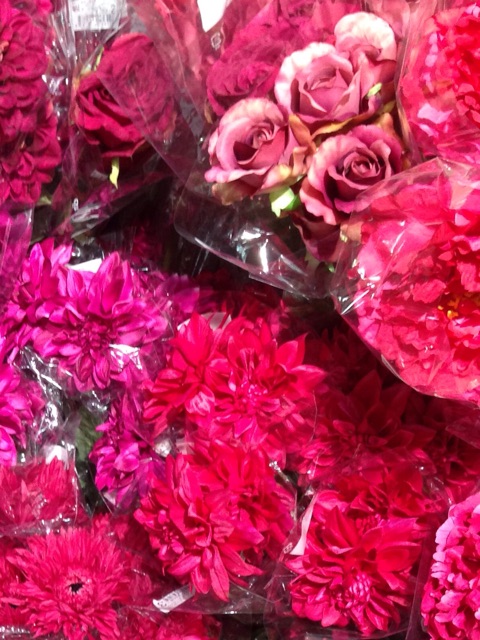 f:id:yasuko-fiore:20151014214259j:plain f:id:yasuko-fiore:20151014214259j:plain