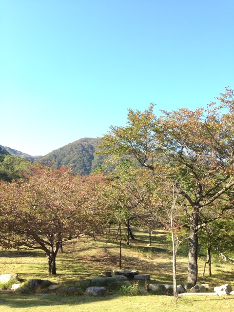f:id:yasuko-fiore:20151019225656j:plain f:id:yasuko-fiore:20151019225656j:plain