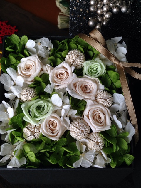 f:id:yasuko-fiore:20151211165622j:plain f:id:yasuko-fiore:20151211165622j:plain