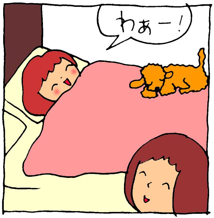 f:id:yasumi-08:20150217221054j:plain f:id:yasumi-08:20150217221054j:plain