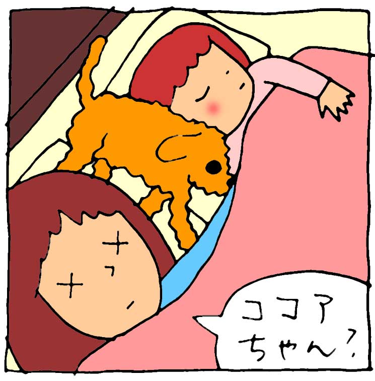 f:id:yasumi-08:20150217221103j:plain f:id:yasumi-08:20150217221103j:plain
