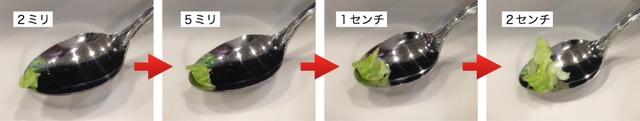 f:id:yasuyukiarakawa:20140319143107j:plain f:id:yasuyukiarakawa:20140319143107j:plain