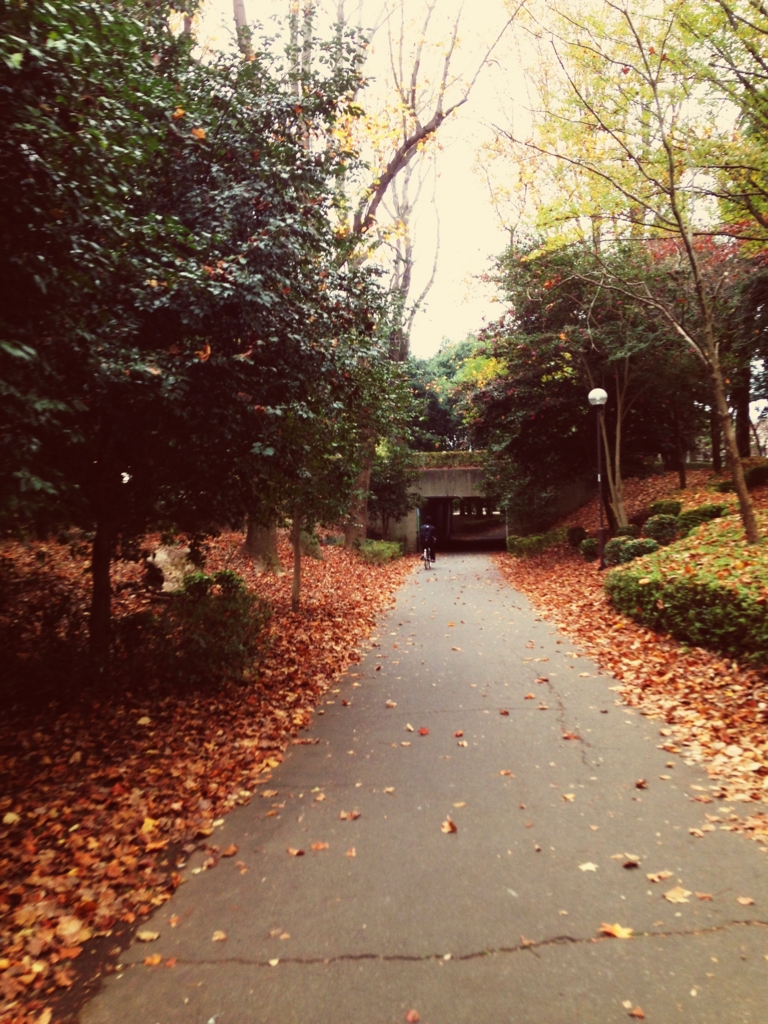 f:id:yatomuuu:20151109171004j:plain f:id:yatomuuu:20151109171004j:plain