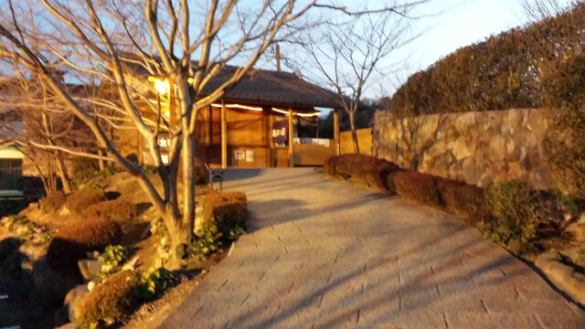 f:id:yawarakawakadori:20160306231713j:image f:id:yawarakawakadori:20160306231713j:image