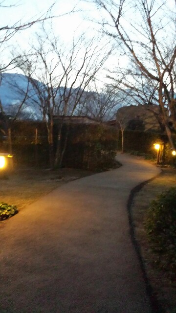 f:id:yawarakawakadori:20160306231810j:image f:id:yawarakawakadori:20160306231810j:image