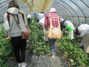 f:id:yayoi-blog:20160609115455j:plain f:id:yayoi-blog:20160609115455j:plain