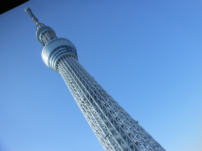 f:id:yayoi50:20130120113134j:plain f:id:yayoi50:20130120113134j:plain
