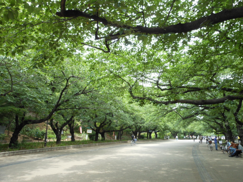 f:id:yayoi50:20130606105403j:plain f:id:yayoi50:20130606105403j:plain