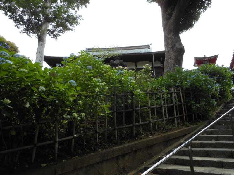 f:id:yayoi50:20130606105915j:plain f:id:yayoi50:20130606105915j:plain