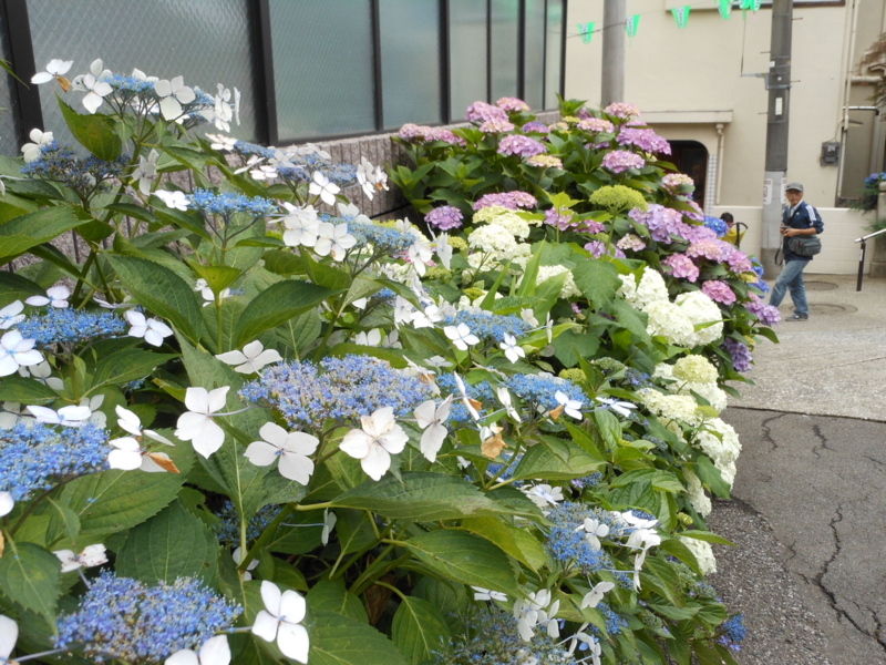 f:id:yayoi50:20130608101457j:plain f:id:yayoi50:20130608101457j:plain