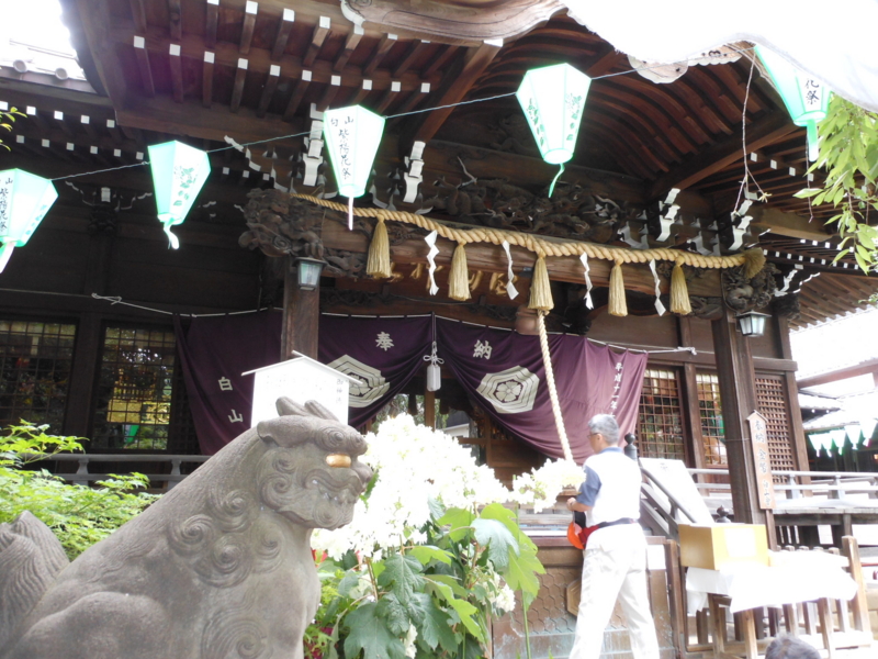 f:id:yayoi50:20130608102227j:plain f:id:yayoi50:20130608102227j:plain