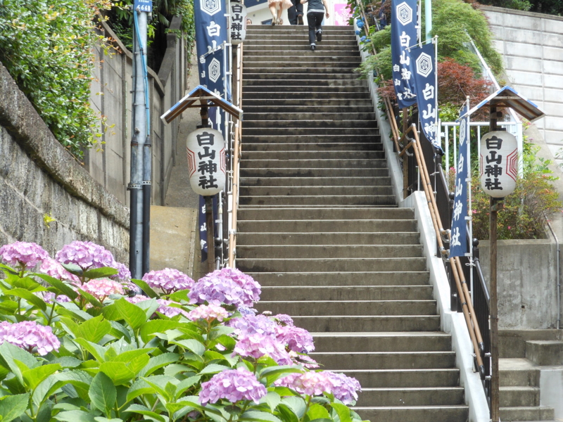 f:id:yayoi50:20130608103433j:plain f:id:yayoi50:20130608103433j:plain