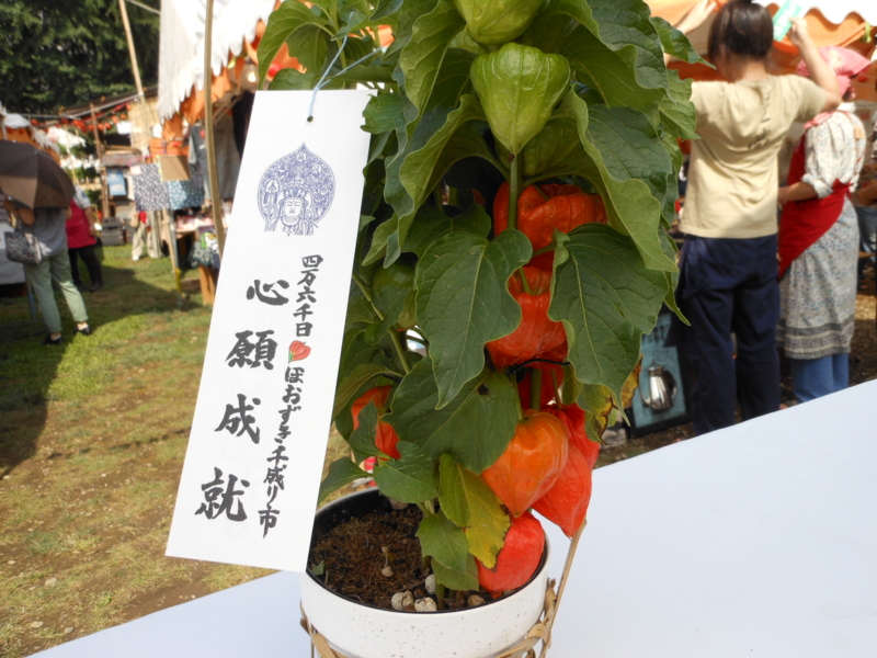 f:id:yayoi50:20130709143809j:plain f:id:yayoi50:20130709143809j:plain