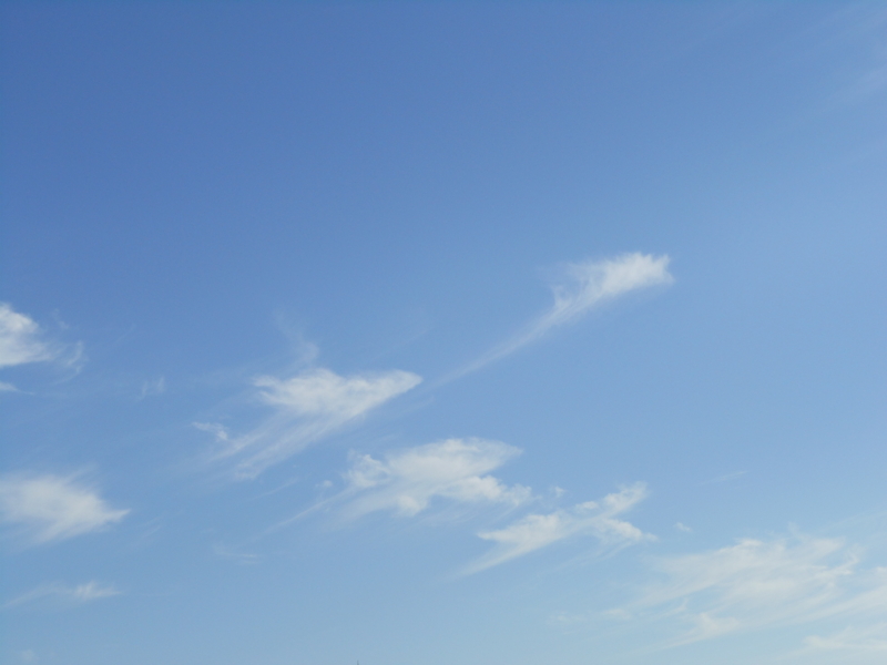 f:id:yayoi50:20130917155630j:plain f:id:yayoi50:20130917155630j:plain