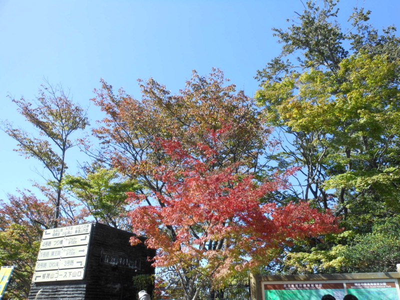 f:id:yayoi50:20131027110554j:plain f:id:yayoi50:20131027110554j:plain