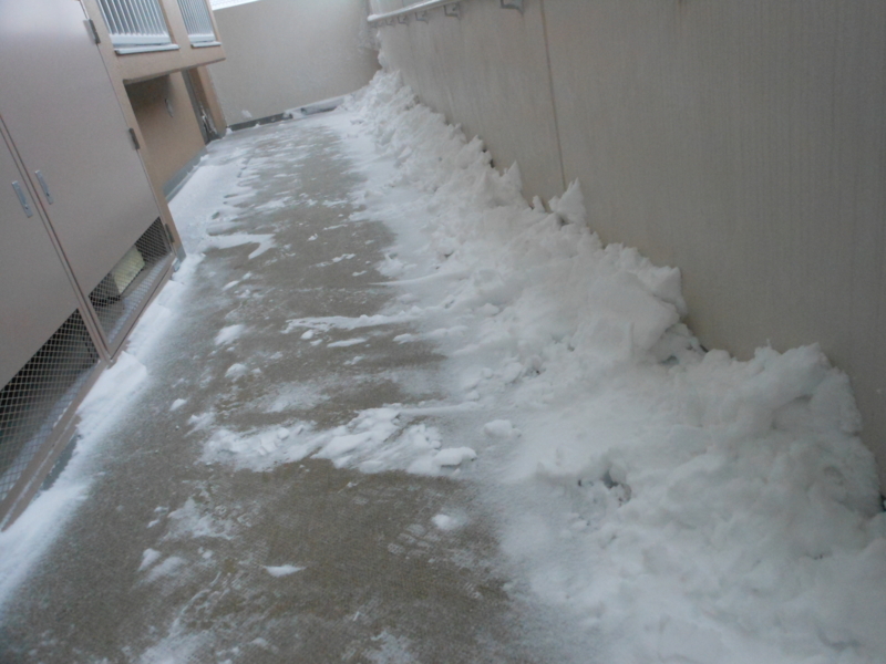 f:id:yayoi50:20140208163659j:plain f:id:yayoi50:20140208163659j:plain