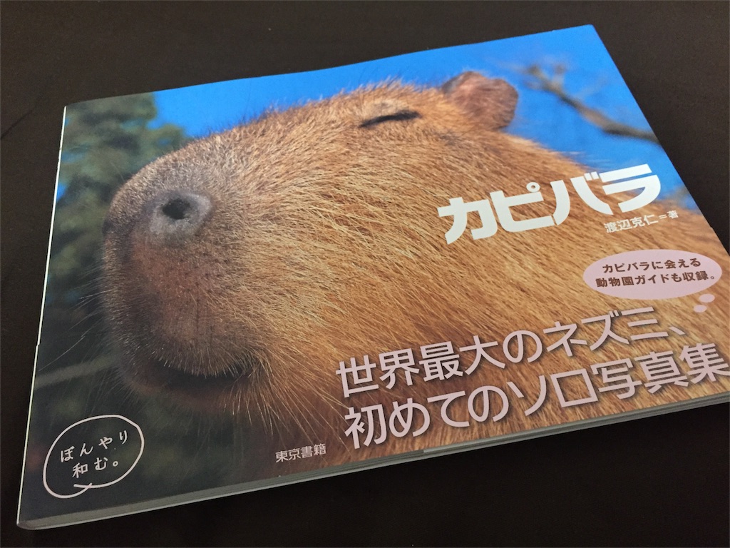 f:id:yayoihajime:20150926235853j:image f:id:yayoihajime:20150926235853j:image