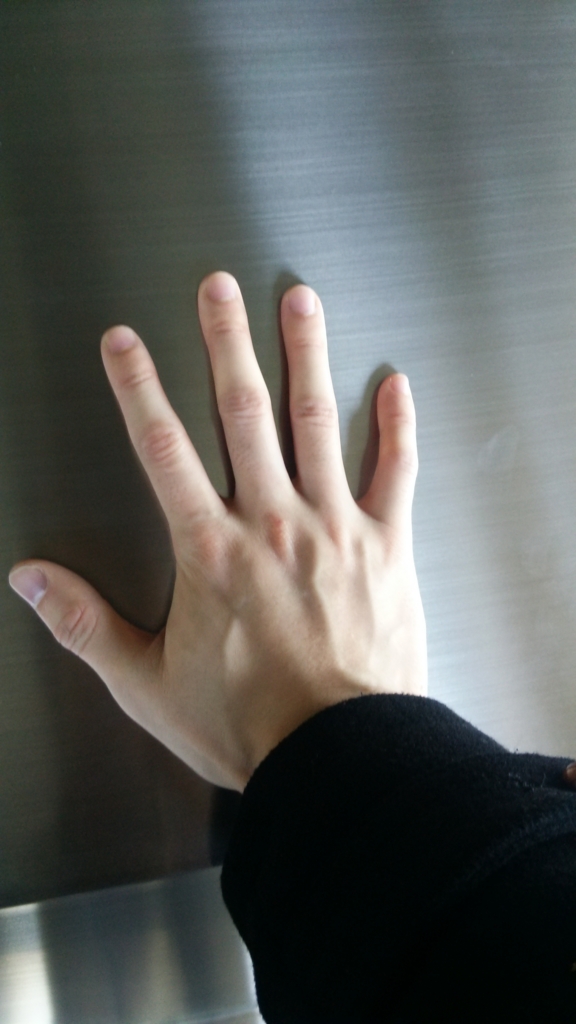 f:id:yazibee:20160129232608j:plain