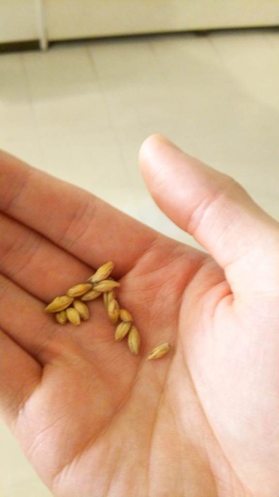 f:id:yazibee:20160129232649j:plain