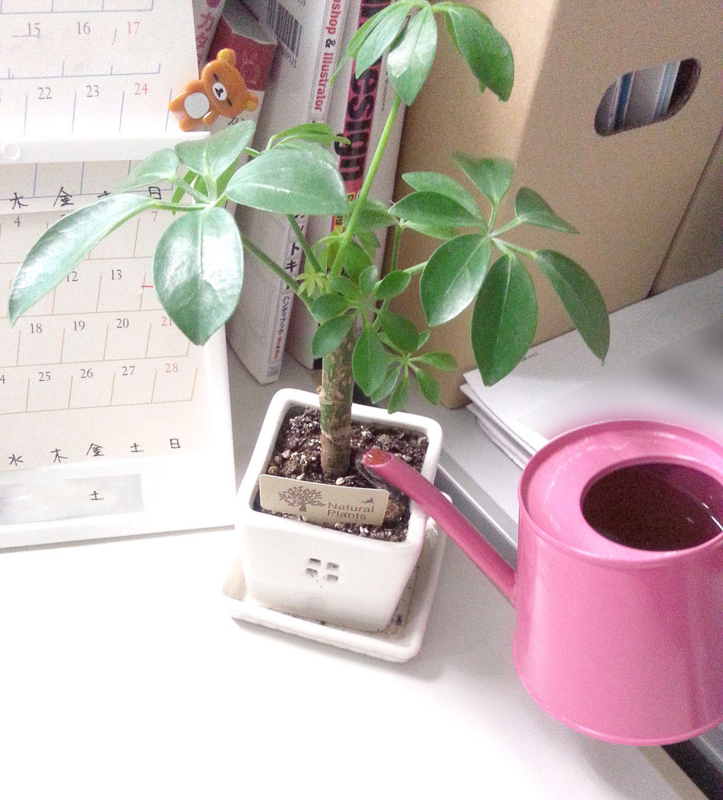 f:id:yellowblue_co_jp:20140818132145j:plain f:id:yellowblue_co_jp:20140818132145j:plain