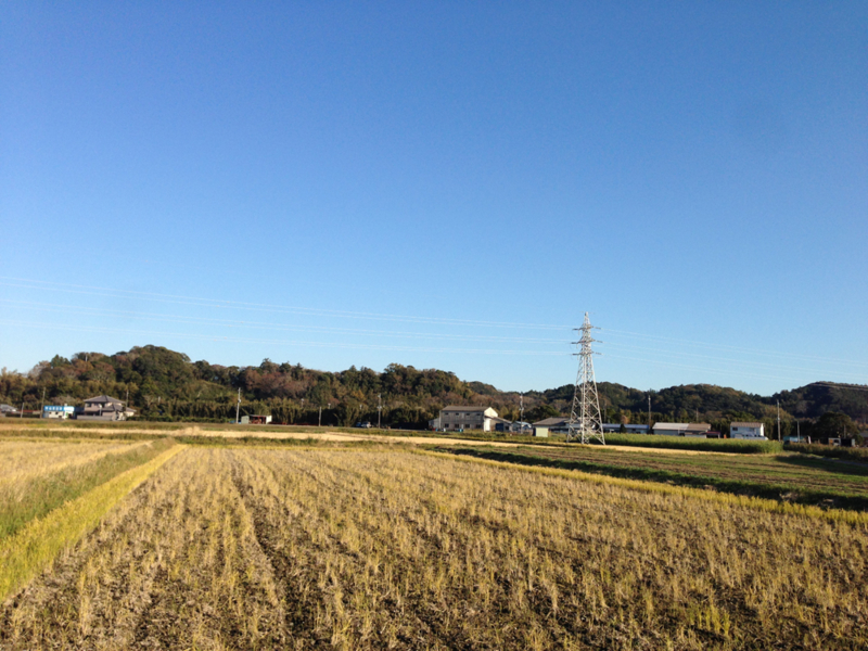 f:id:yk0105000:20131123145200j:plain f:id:yk0105000:20131123145200j:plain