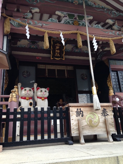 f:id:ykn_mg:20150703140113j:image f:id:ykn_mg:20150703140113j:image