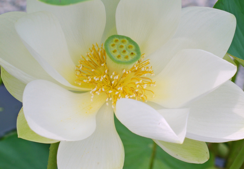 f:id:ykssm:20150702162432j:image f:id:ykssm:20150702162432j:image