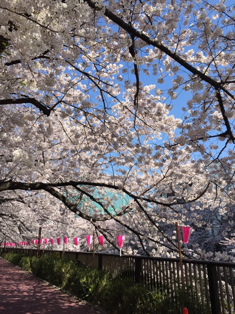 f:id:yktu:20150407233444j:plain