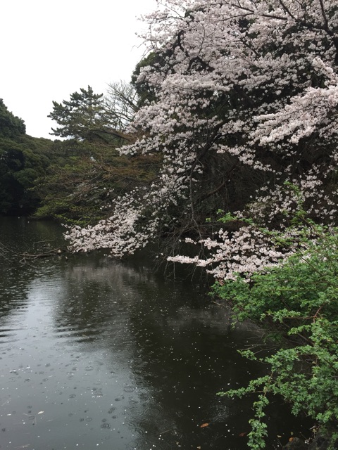 f:id:yktu:20150407233839j:plain