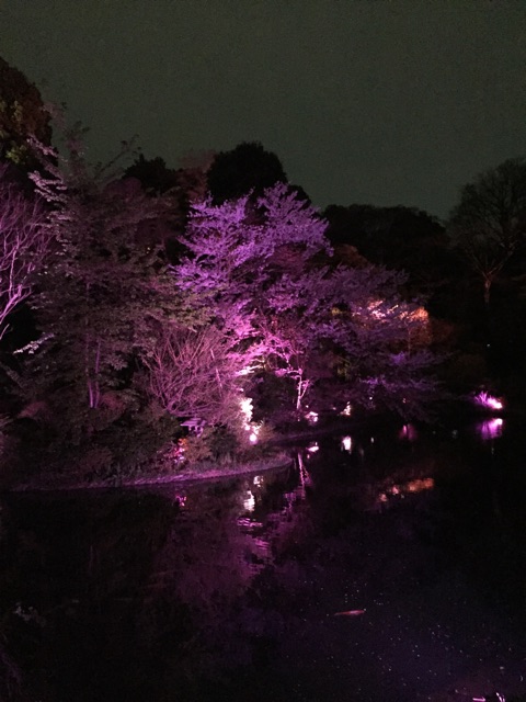 f:id:yktu:20150407234430j:plain