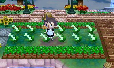 f:id:ymiyazakipkwy:20130415103905j:plain f:id:ymiyazakipkwy:20130415103905j:plain