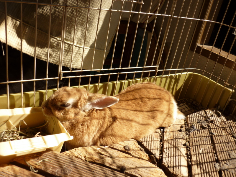 f:id:ympbyc:20120313131642j:image