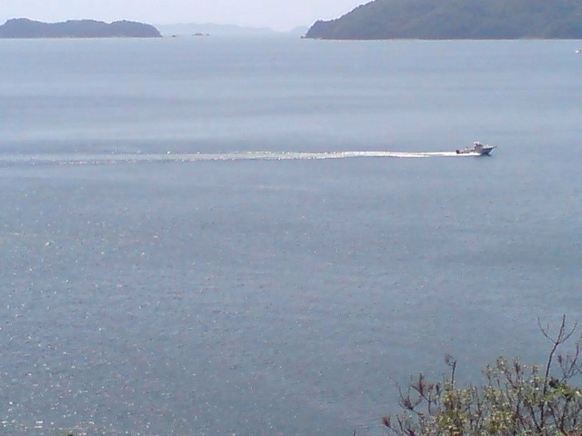 f:id:ymuto109:20060505141506j:image f:id:ymuto109:20060505141506j:image