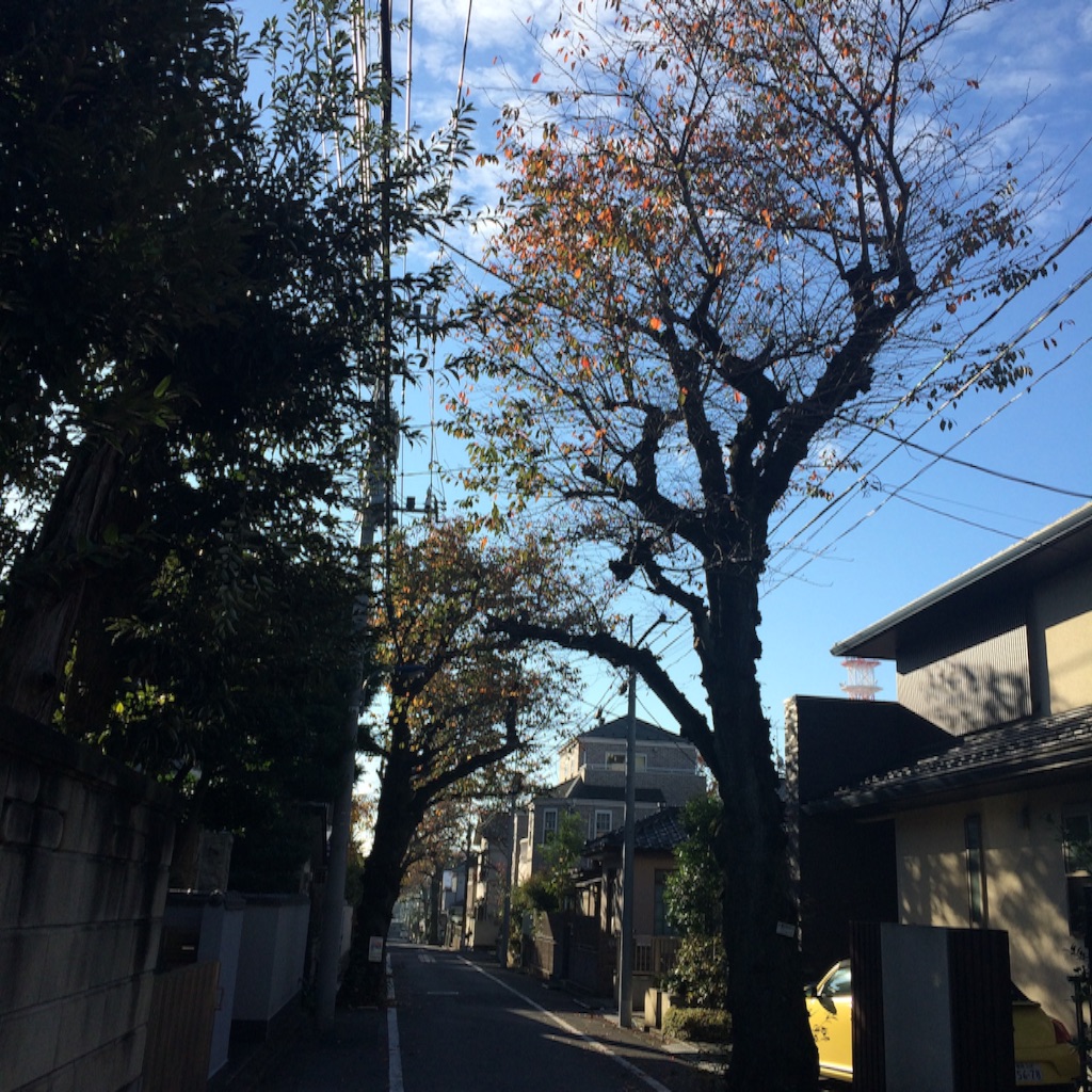f:id:ymy0927:20151121105836j:image f:id:ymy0927:20151121105836j:image