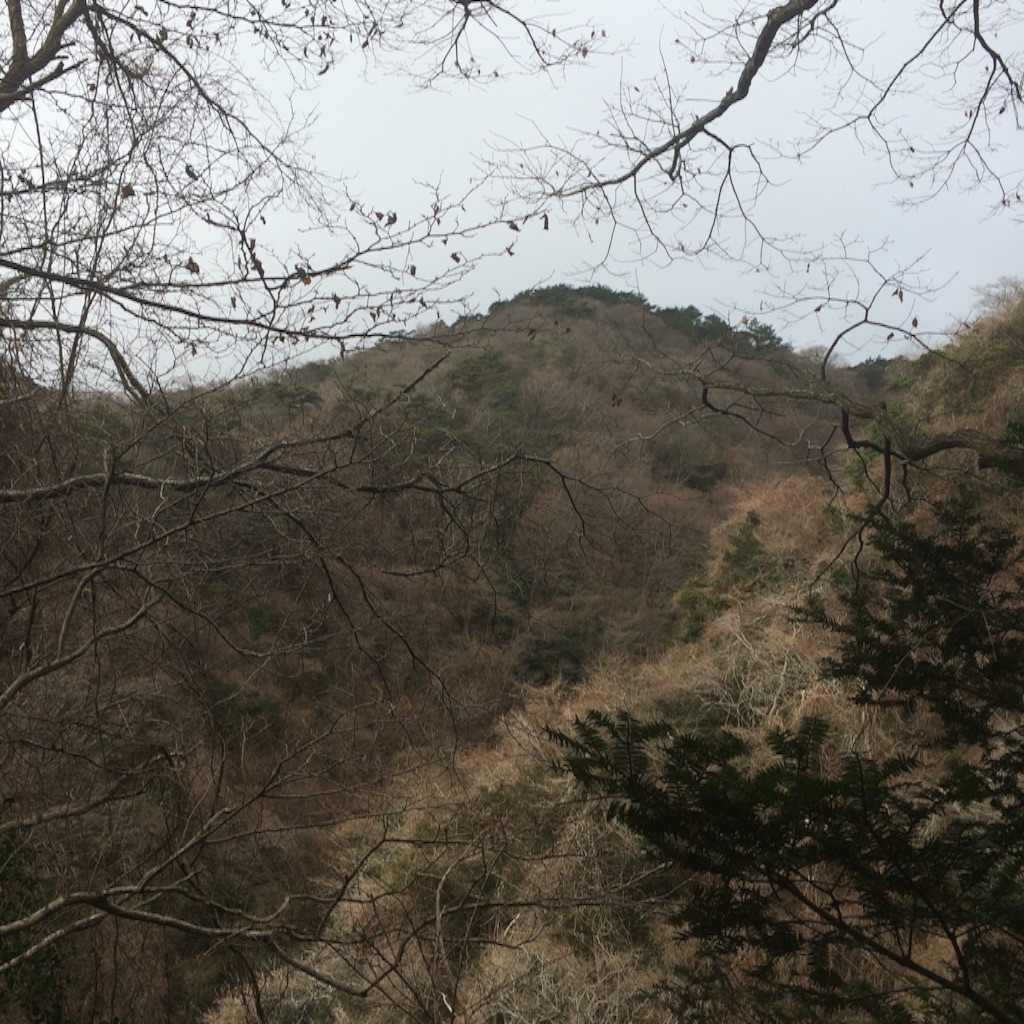 f:id:ymy0927:20151227160439j:image f:id:ymy0927:20151227160439j:image