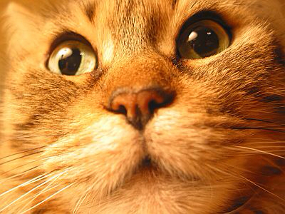 f:id:ymzkryo:20130122230327j:plain f:id:ymzkryo:20130122230327j:plain